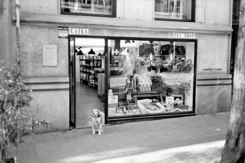 Local Laika