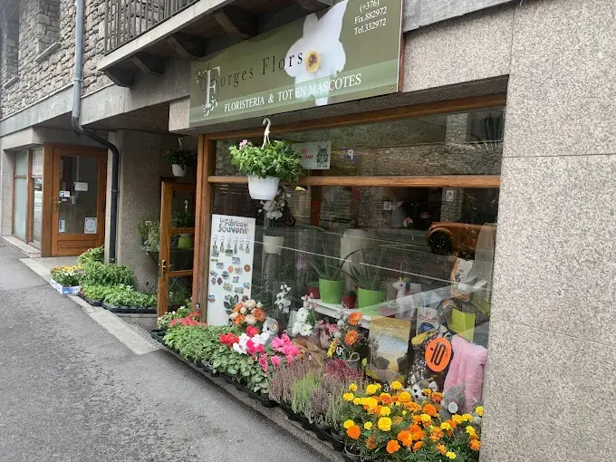 Local Borges Flors